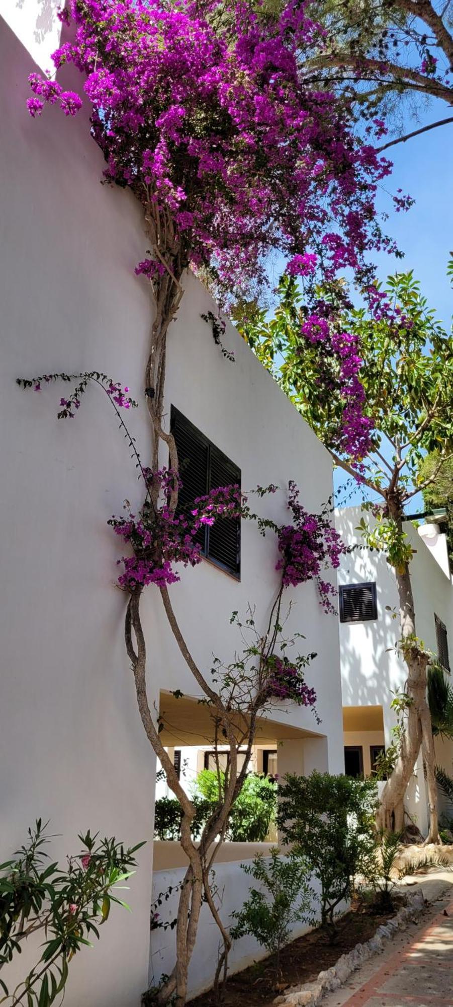 Hotel Club Cala Azul à Cala Llena Extérieur photo